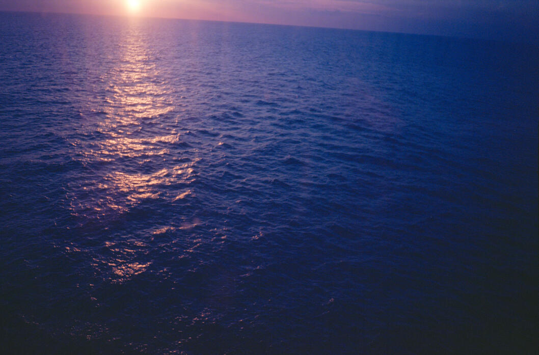 Took a break from working to capture the Atlantic Ocean at sunset. (Shot on Minolta Freedom 35AF on Ektar 100 film, March 2025.)