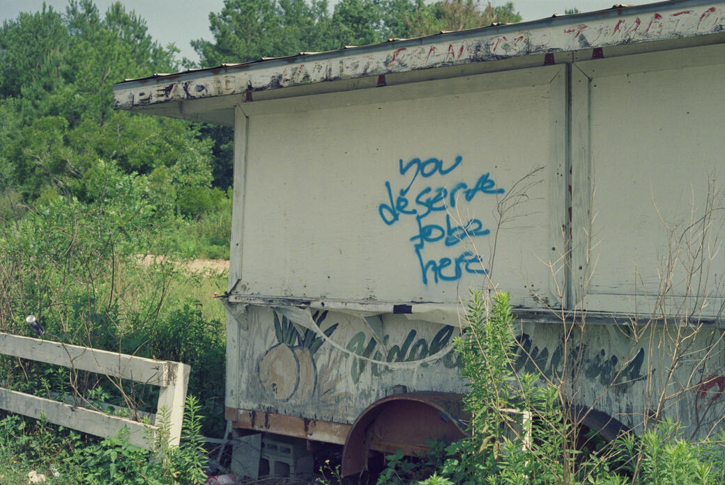 Found outside a rest stop on the way to Florida. (Shot on Canon AE-1 on 5219/500T film, June 2022.)